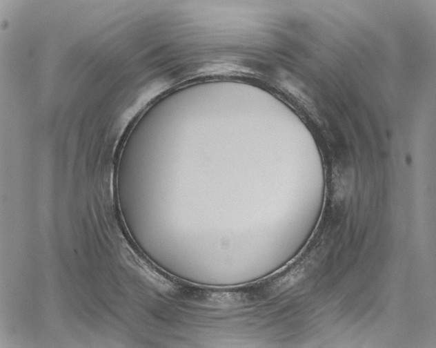 X0000067901322200604201325