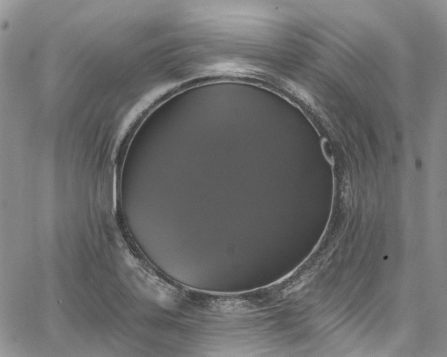 X0000067901323200604201325