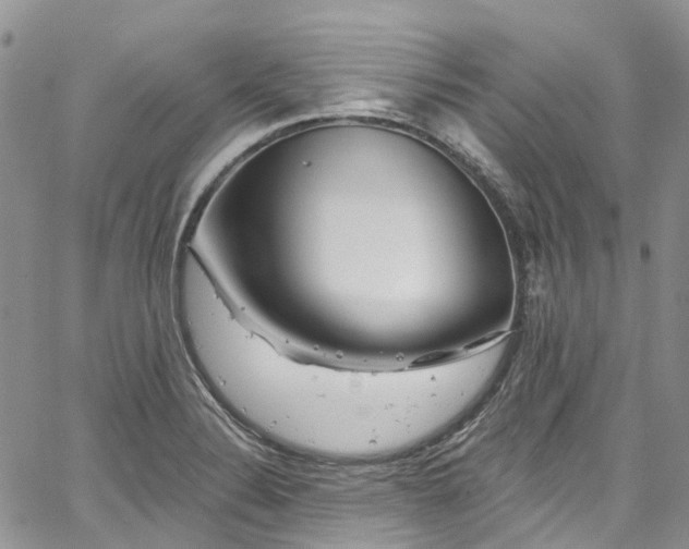 X0000067901324200604201325