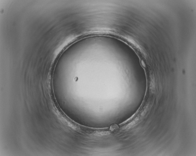 X0000067901325200604201325