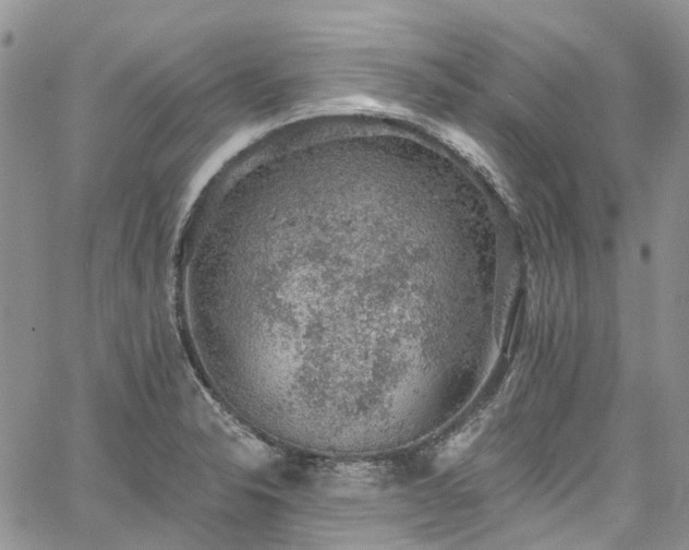 X0000067901326200604201325