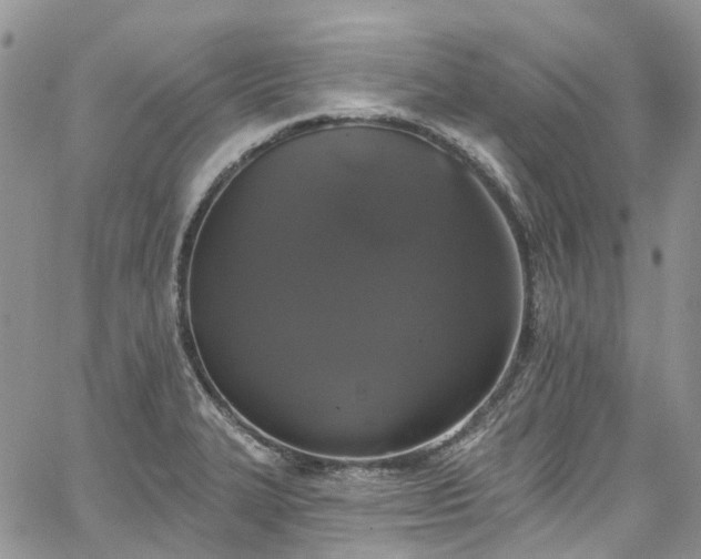 X0000067901327200604201325