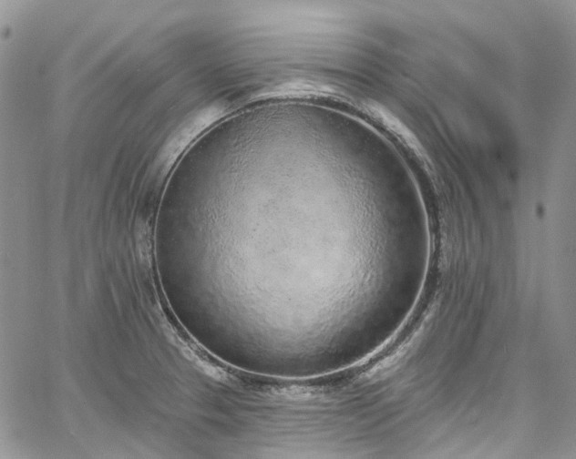 X0000067901329200604201325