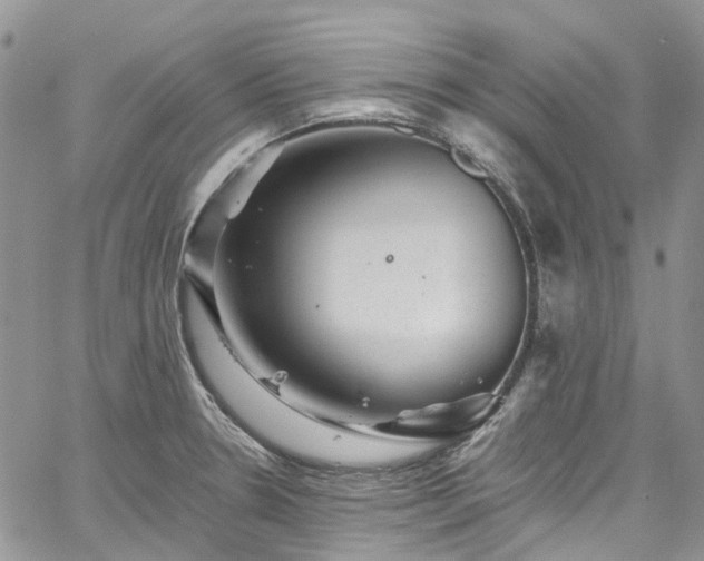 X0000067901330200604201325