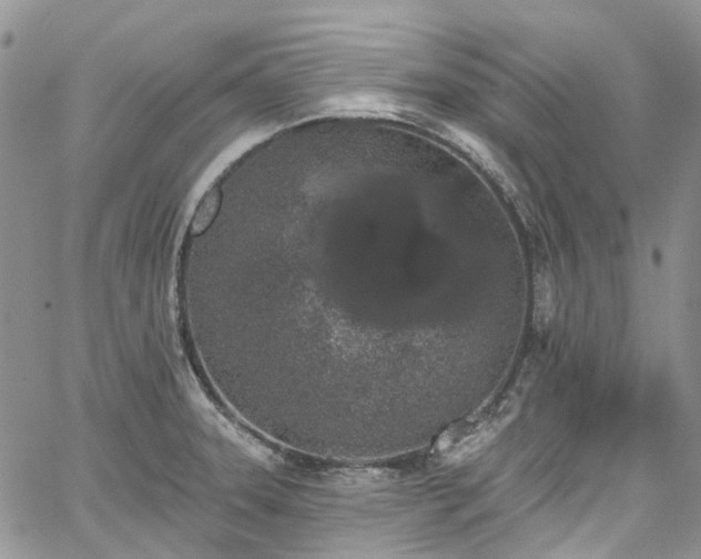 X0000067901331200604201325