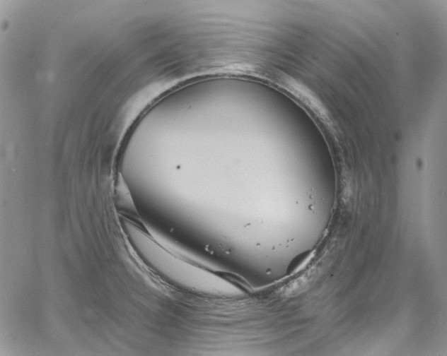 X0000067901332200604201325