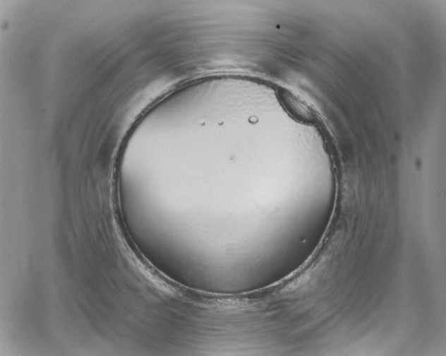 X0000067901333200604201325