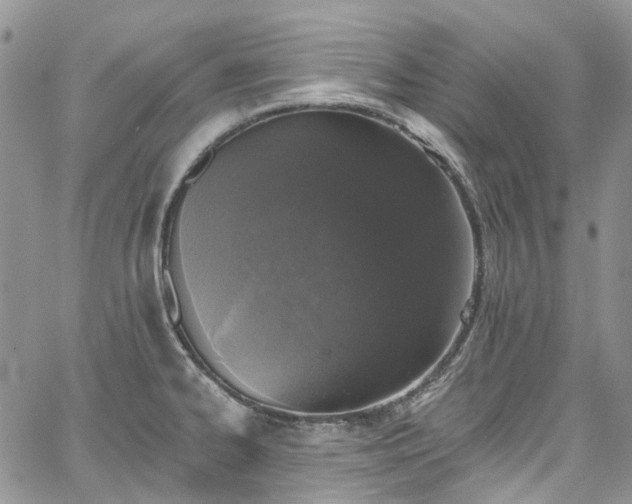 X0000067901334200604201325