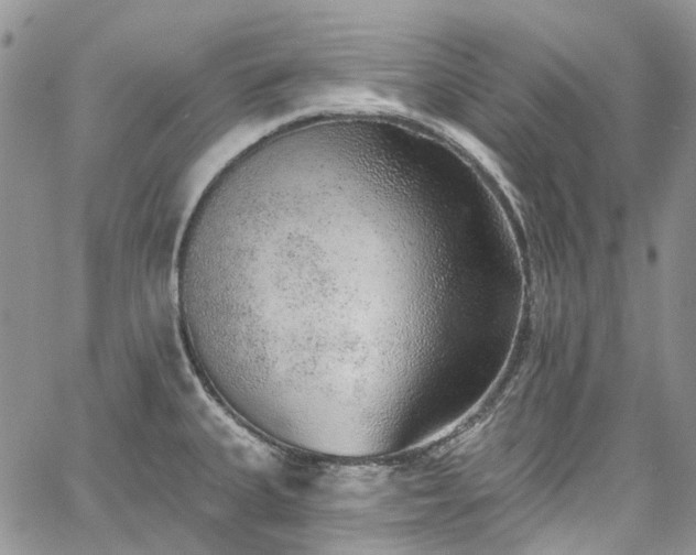 X0000067901335200604201325