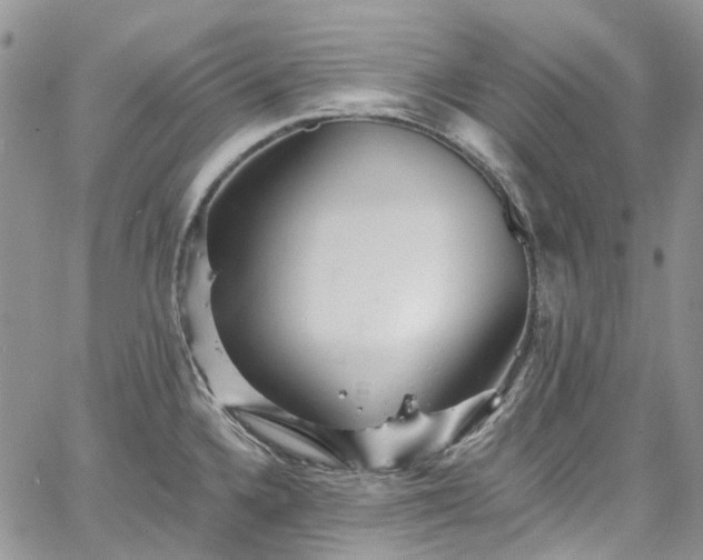 X0000067901336200604201325