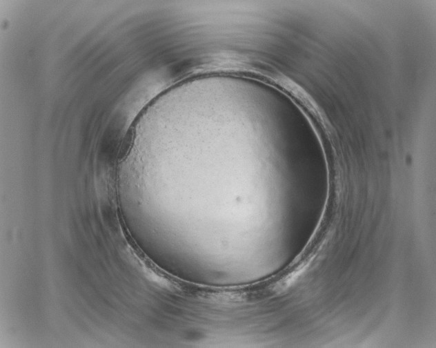 X0000067901337200604201325