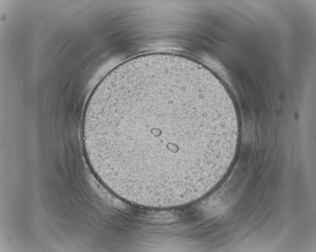 X0000067901338200604201325