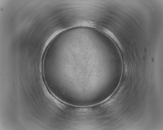 X0000067901339200604201325