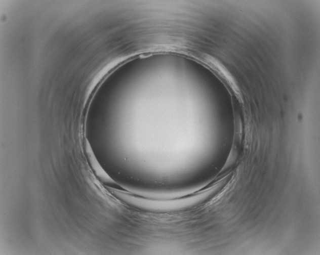 X0000067901340200604201325