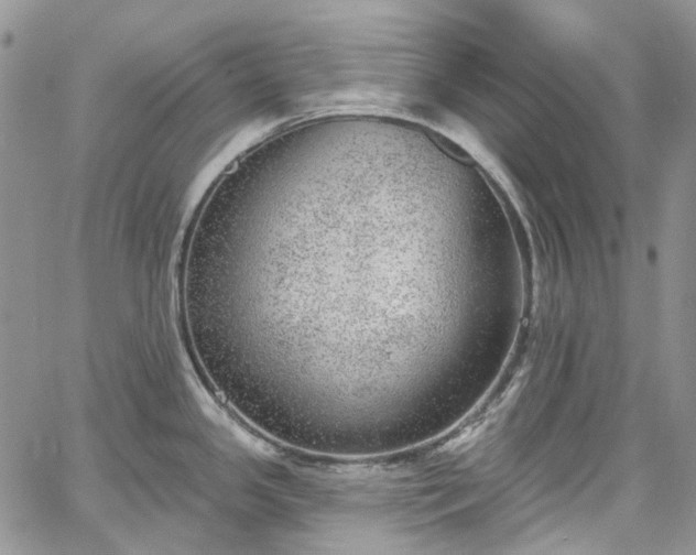 X0000067901341200604201325