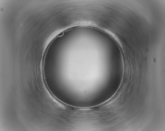 X0000067901343200604201325