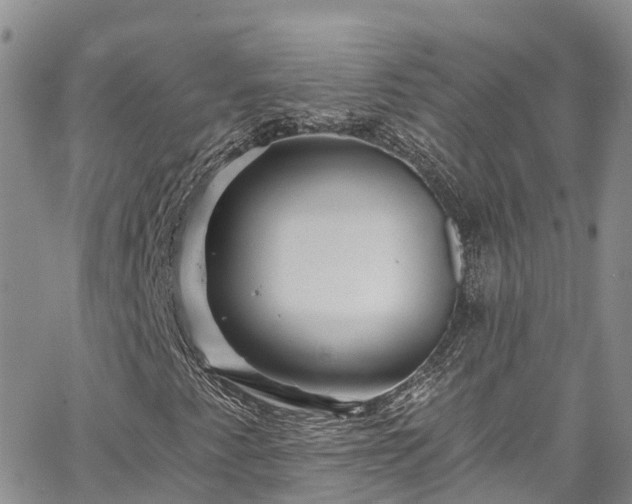 X0000067901345200604201324