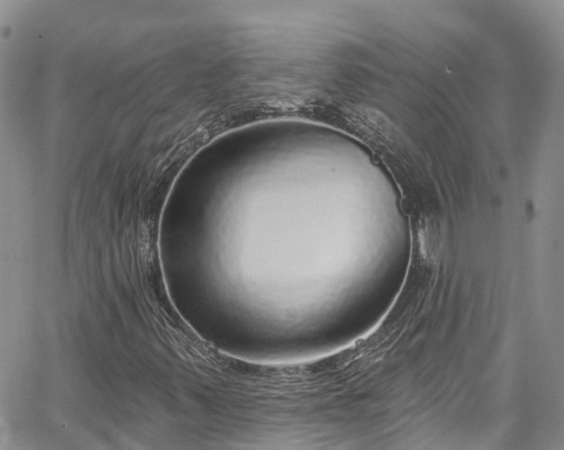 X0000067901347200604201324