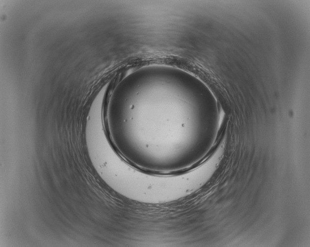 X0000067901348200604201324