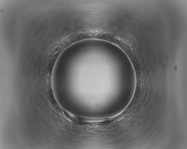 X0000067901349200604201324