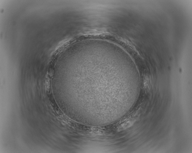 X0000067901350200604201324