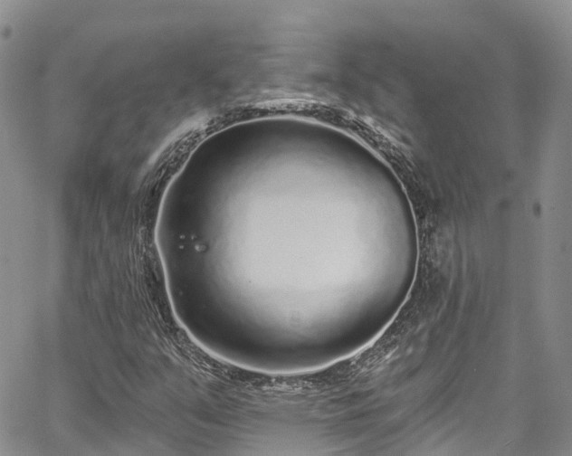 X0000067901351200604201324