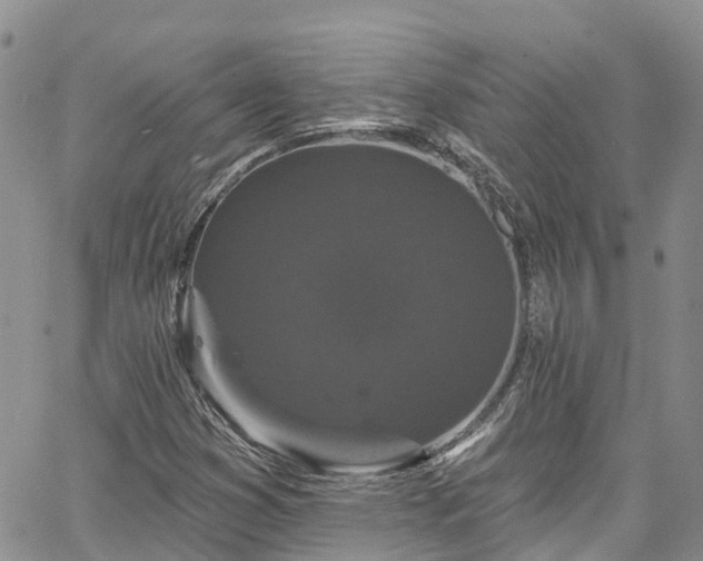 X0000067901353200604201324