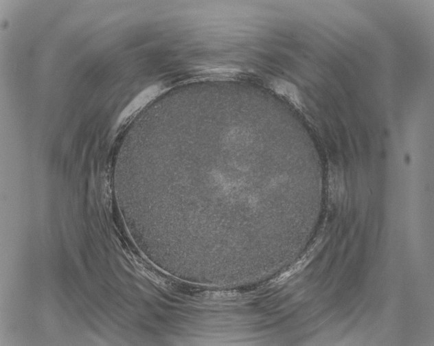 X0000067901354200604201324