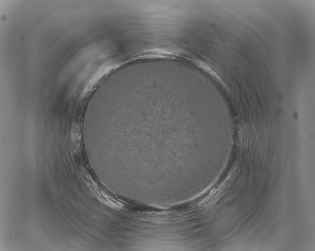 X0000067901355200604201324