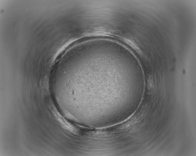 X0000067901356200604201324