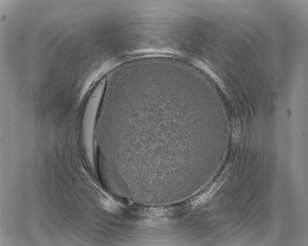 X0000067901357200604201324