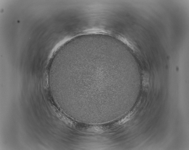 X0000067901358200604201324