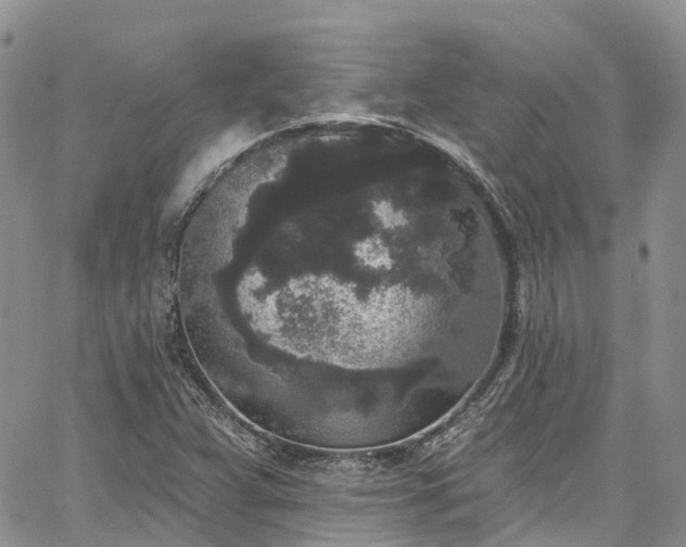 X0000067901359200604201324