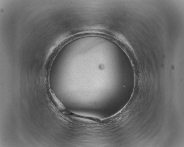 X0000067901360200604201324