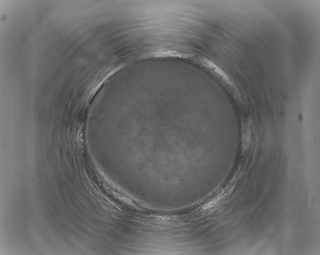 X0000067901361200604201324