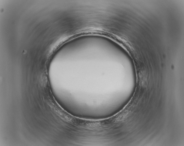 X0000067901363200604201324