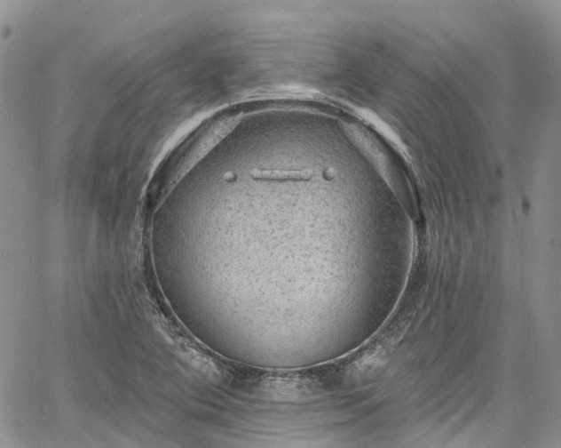 X0000067901364200604201324