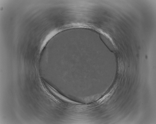 X0000067901365200604201324