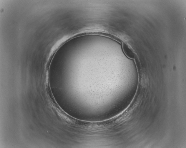 X0000067901366200604201324