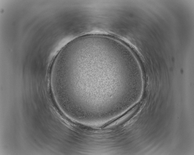 X0000067901367200604201324