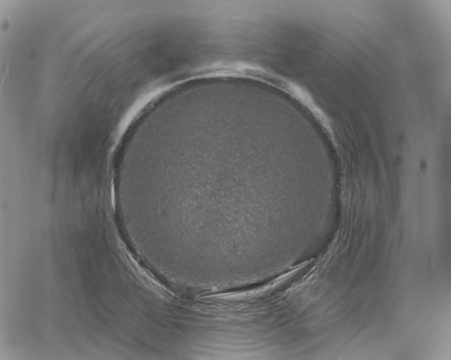 X0000067901368200604201324