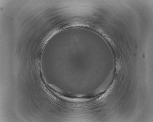 X0000067901369200604201324