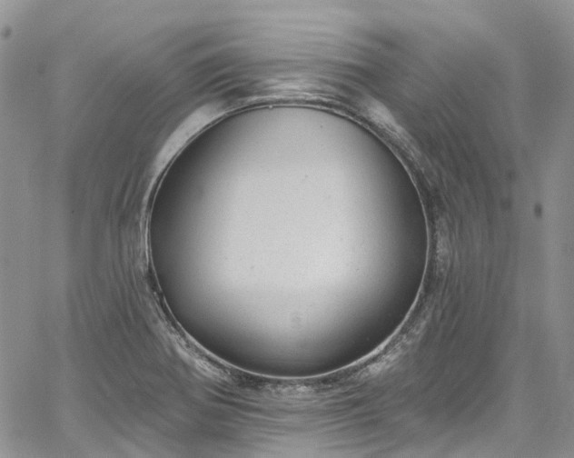 X0000067901370200604201324