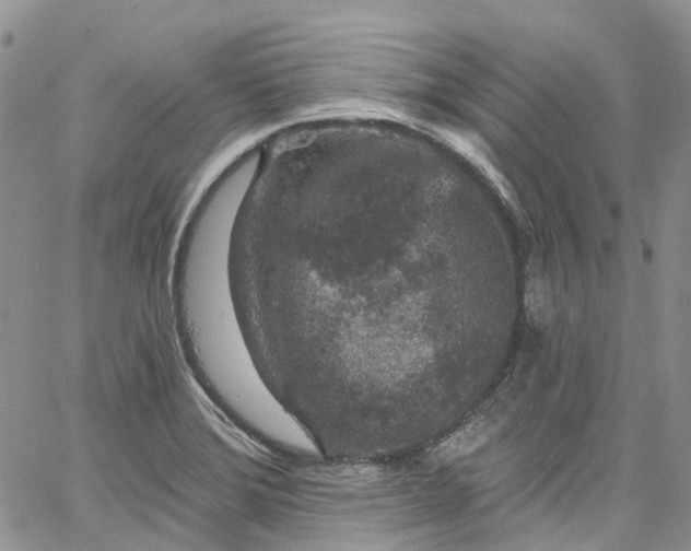 X0000067901372200604201324