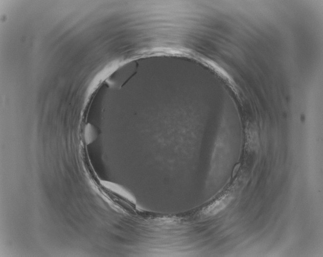 X0000067901373200604201324