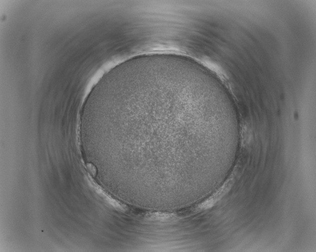 X0000067901374200604201324