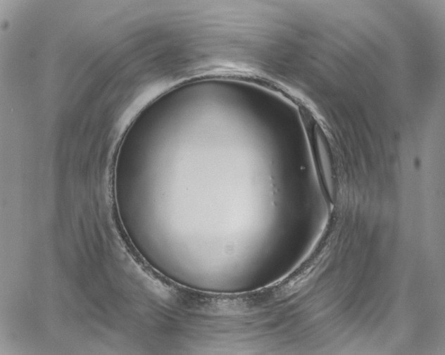 X0000067901375200604201324