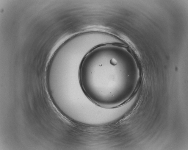 X0000067901376200604201324