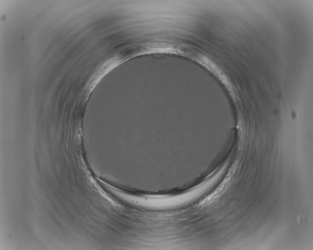 X0000067901377200604201324