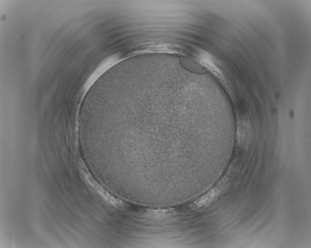 X0000067901378200604201324